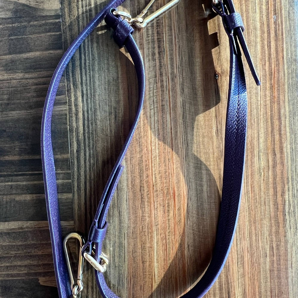 Louis Vuitton Purple Crossbody Strap